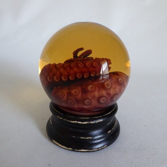 RED TIGER OCTOPUS TENTACLE GLASS GLOBE WET SPECIMEN PROFESSIONAL TAXIDERMY - Picture 4 of 11
